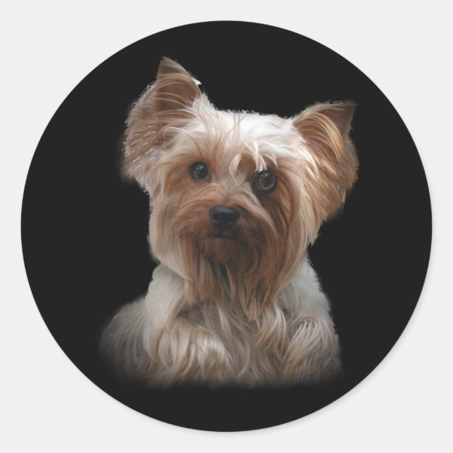Yorkshire Terrier Sticker (Vorderseite)