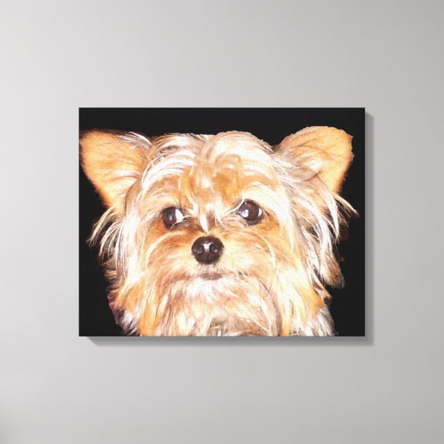 Yorkshire Terrier Stretched Canvas Print Leinwanddruck (Vorderseite)