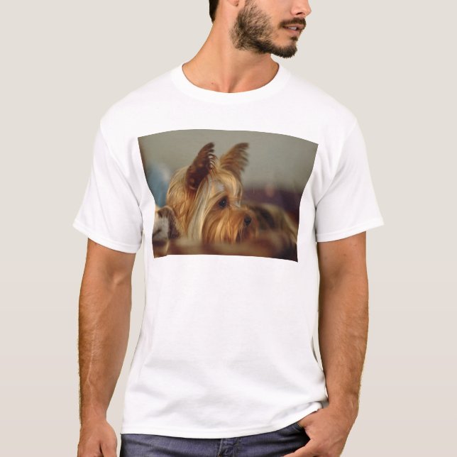 Yorkshire Terrier T-Shirt (Vorderseite)
