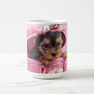 Yorkshire Terrier Tasse