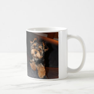 Yorkshire-Terrier-Tasse Kaffeetasse