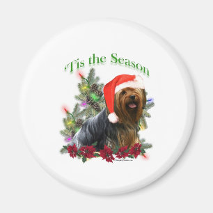 Yorkshire Terrier "Tis Magnet
