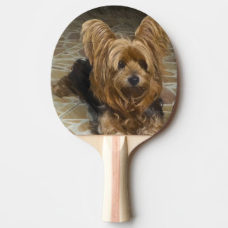 Yorkshire Terrier Tischtennis Schläger