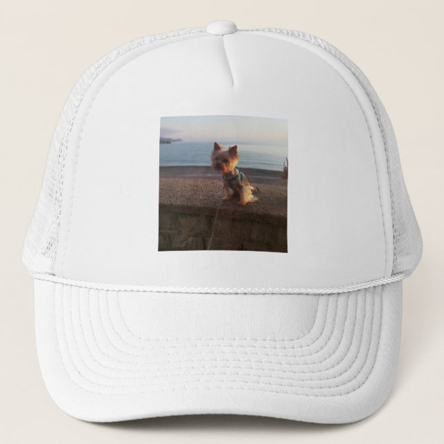 Yorkshire Terrier Truckerkappe (Vorderseite)