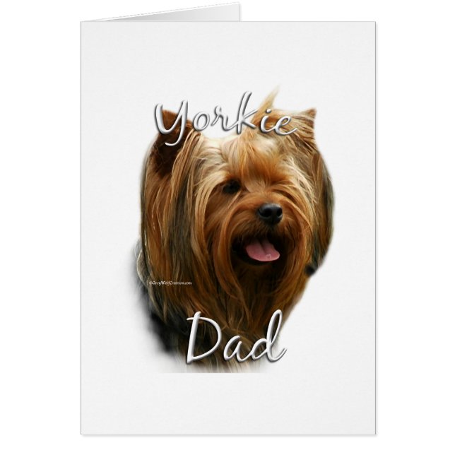 Yorkshire Terrier Vater 2 (Vorne)