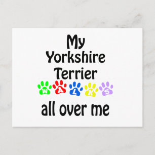 Yorkshire Terrier Walks Design Postkarte