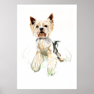Yorkshire Terrier Wandkunst Poster – Aquarell