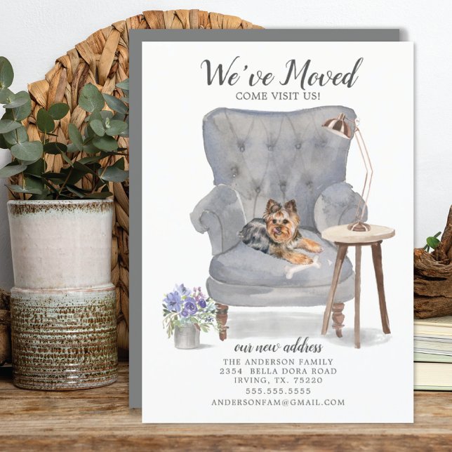 Yorkshire Terrier We Moved Moving Ankündigung (Von Creator hochgeladen)