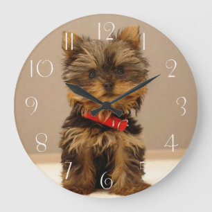 Yorkshire Terrier Welpe Große Wanduhr