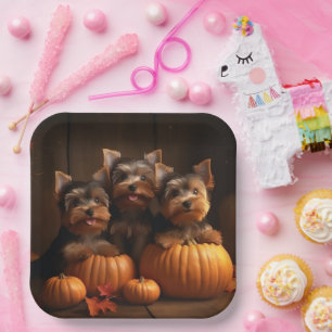 Yorkshire Terrier Welpe Herbstfreude Kürbis  Pappteller