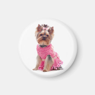 Yorkshire Terrier Welpe Hund in einem rosa Kleid M Magnet