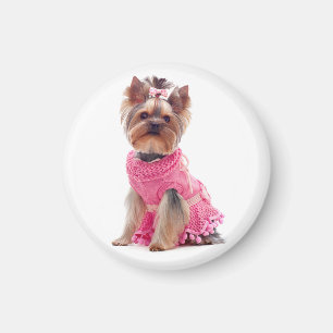 Yorkshire Terrier Welpe Hund in einem rosa Kleider Magnet