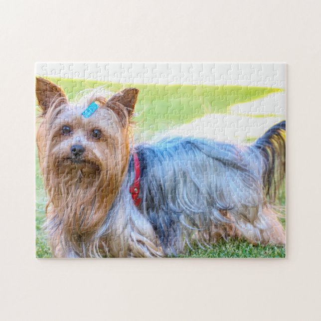 Yorkshire Terrier Yorkie Breed Doppy Puppy Puzzle (Horizontal)