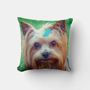 Yorkshire Terrier Yorkie Favorite Breed Kissen