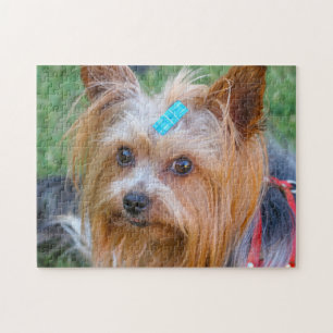 Yorkshire Terrier Yorkie Favorite Breed Puzzle