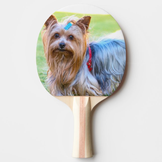 Yorkshire Terrier Yorkie Favorite Breed Tischtennis Schläger (Vorderseite)