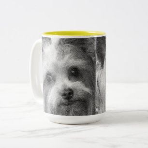 Yorkshire Terrier Yorkie Favorite Breed Zweifarbige Tasse