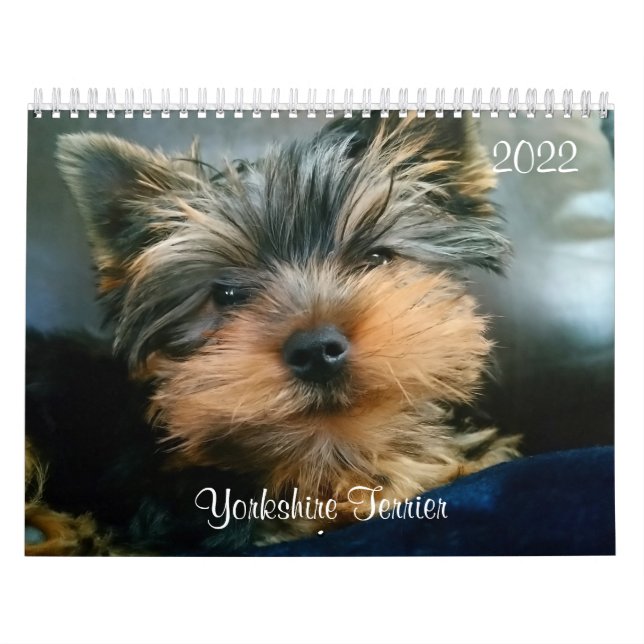 Yorkshire Terrier Yorkies 2022 Calendar Kalender (Titelbild)