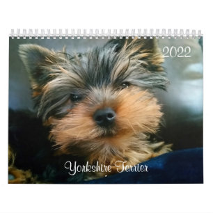 Yorkshire Terrier Yorkies 2022 Calendar Kalender