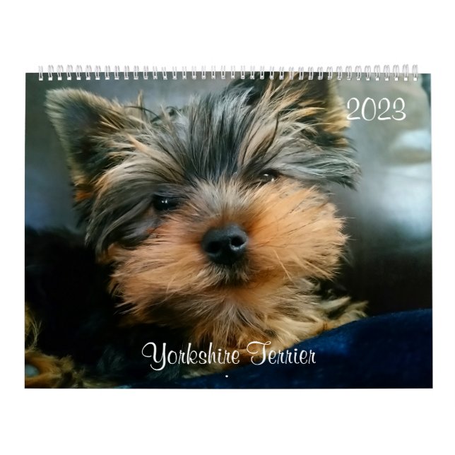 Yorkshire Terrier Yorkies 2023 Calendar Kalender (Titelbild)