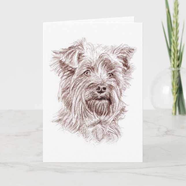 Yorkshire Terrier Zeichnend Dankeskarte (Vorderseite)