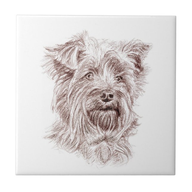 Yorkshire Terrier Zeichnend Fliese (Vorderseite)