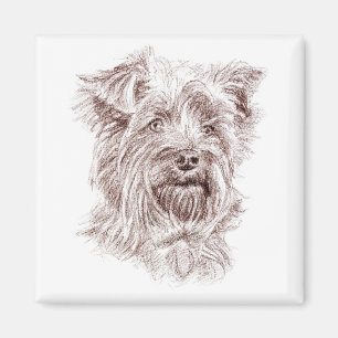 Yorkshire Terrier Zeichnung Magnet