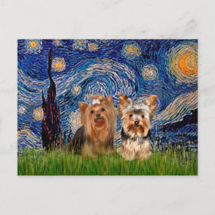 Yorkshire Terriers (7 und 17) - Starry Night Postkarte