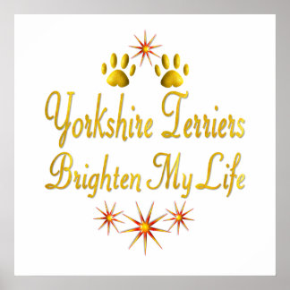Yorkshire Terriers Brighten Mein Leben Poster