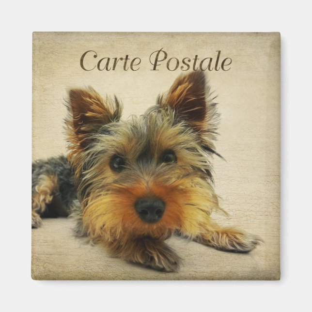 Yorkshire Vintag Postcard Magnet (Vorne)