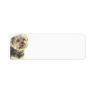 YorkshireTerrier.jpg