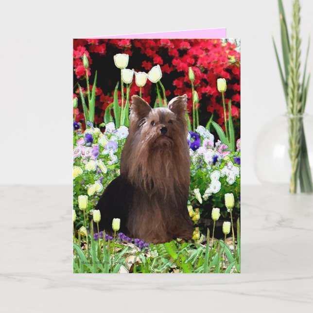 Yorkshireterrier u. -Blumen Dankeskarte (Vorderseite)