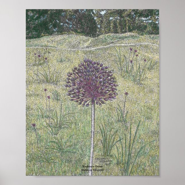 Yorktown Onion Poster (Vorne)