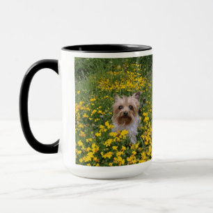 Yorshire Terrier Feld Tasse