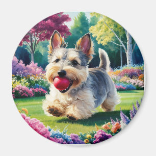 Yorshire Terrier Puppy im Park Magnet