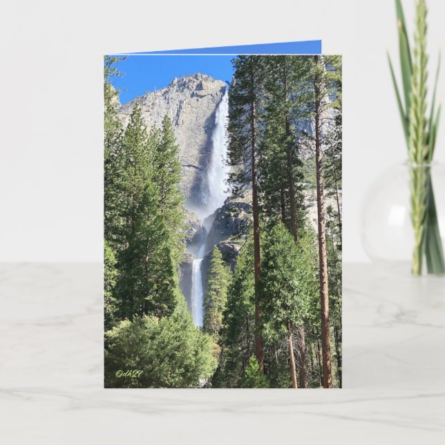 Yosemite 2024 karte (Vorderseite)