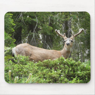 Yosemite Deer Nature Fotografy Mousepad