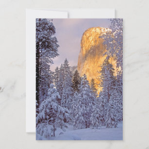 Yosemite - EL Capitan beleuchtet durch Sonnenlicht