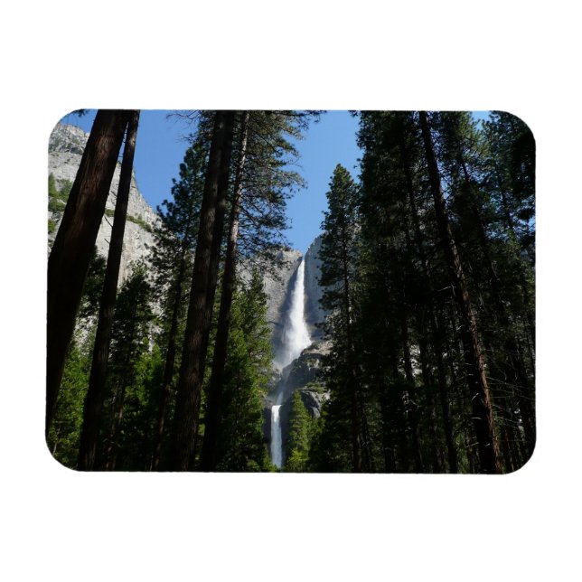 Yosemite Falls and Woods Landscape Fotografy Magnet (Horizontal)