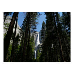 Yosemite Falls and Woods Landscape Fotografy Poster
