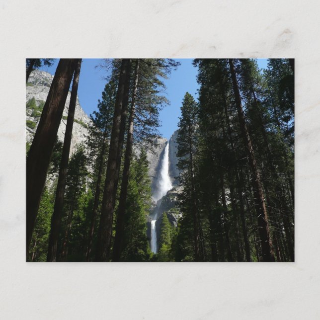 Yosemite Falls and Woods Landscape Fotografy Postkarte (Vorderseite)