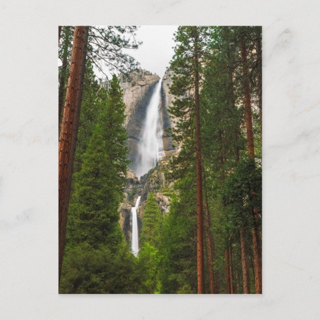 Yosemite Falls durch den Wald Postkarte (Vorderseite)
