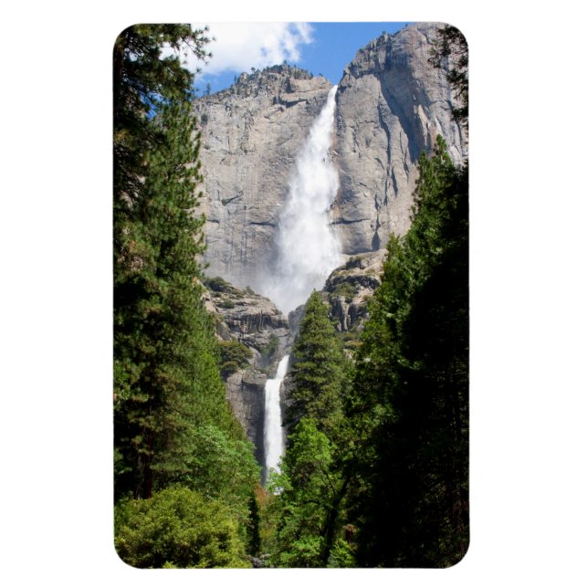 Yosemite Falls in Mai 4"x6" Magnet (Vertikal)