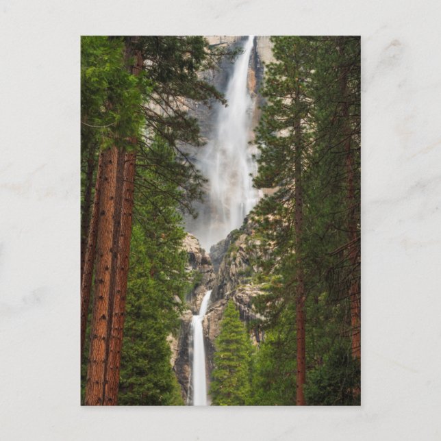 Yosemite Falls, Kalifornien Postkarte (Vorderseite)