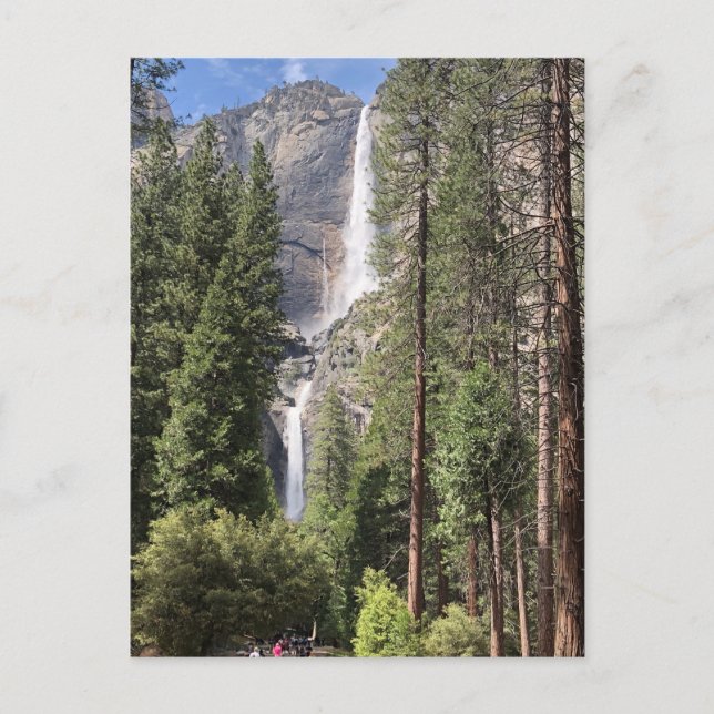 Yosemite Falls Postkarte (Vorderseite)