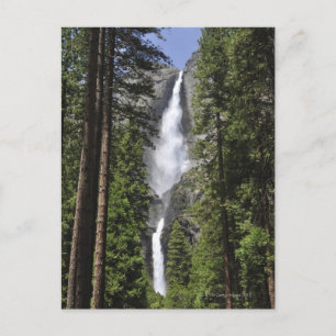Yosemite Falls, Yosemite National Park Postkarte