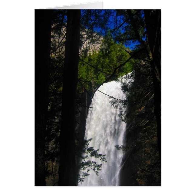 yosemite fällt durch Bäume (Vorne)