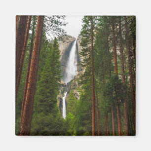 Yosemite fällt durch den Wald Magnet