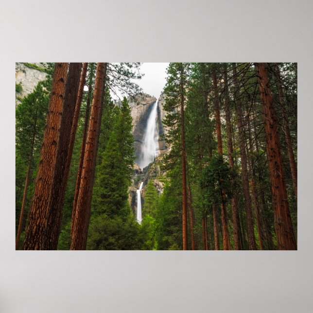 Yosemite fällt durch den Wald Poster (Vorne)