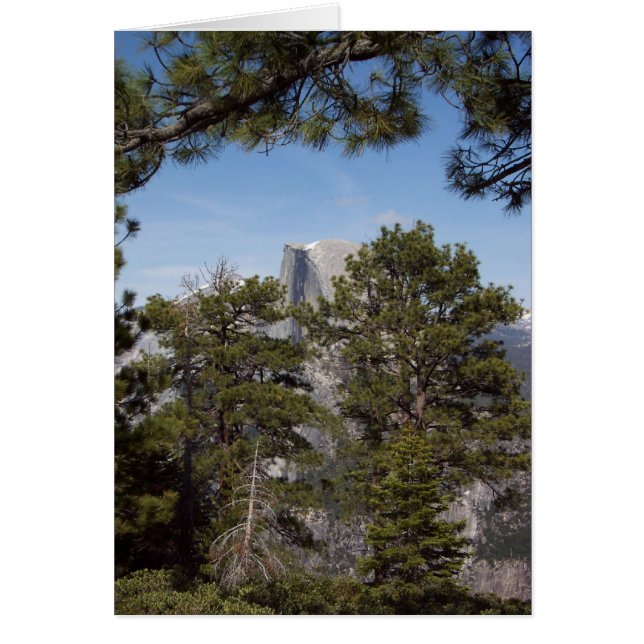 Yosemite im Springtime: Halbkuppel (Vorne)